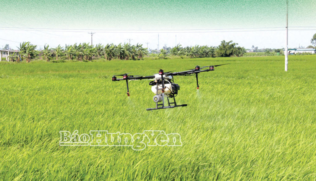 Kỳ 1: Truyền thống – lợi thế về sản xuất lúa gạo
