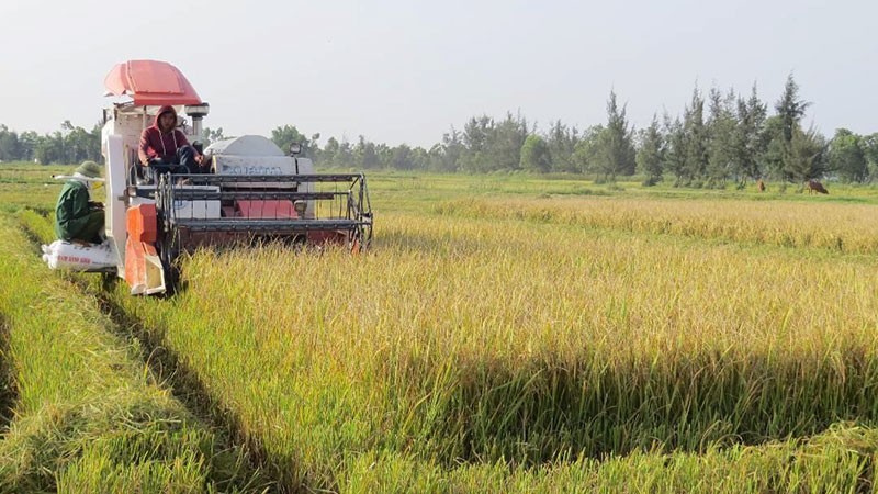 “Bệ phóng” cho sản phẩm nông nghiệp