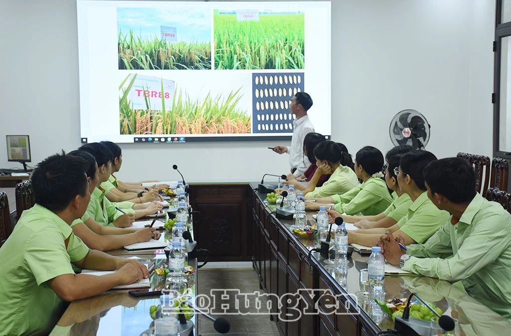 Giải thưởng Lê Quý Đôn: Tôn vinh trí tuệ, thúc đẩy nghiên cứu, lao động sáng tạo