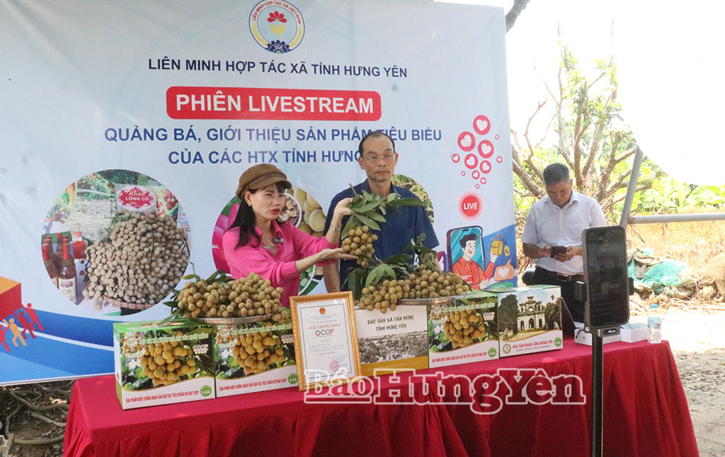 Quảng bá, tiêu thụ nhãn quả tươi qua nền tảng số