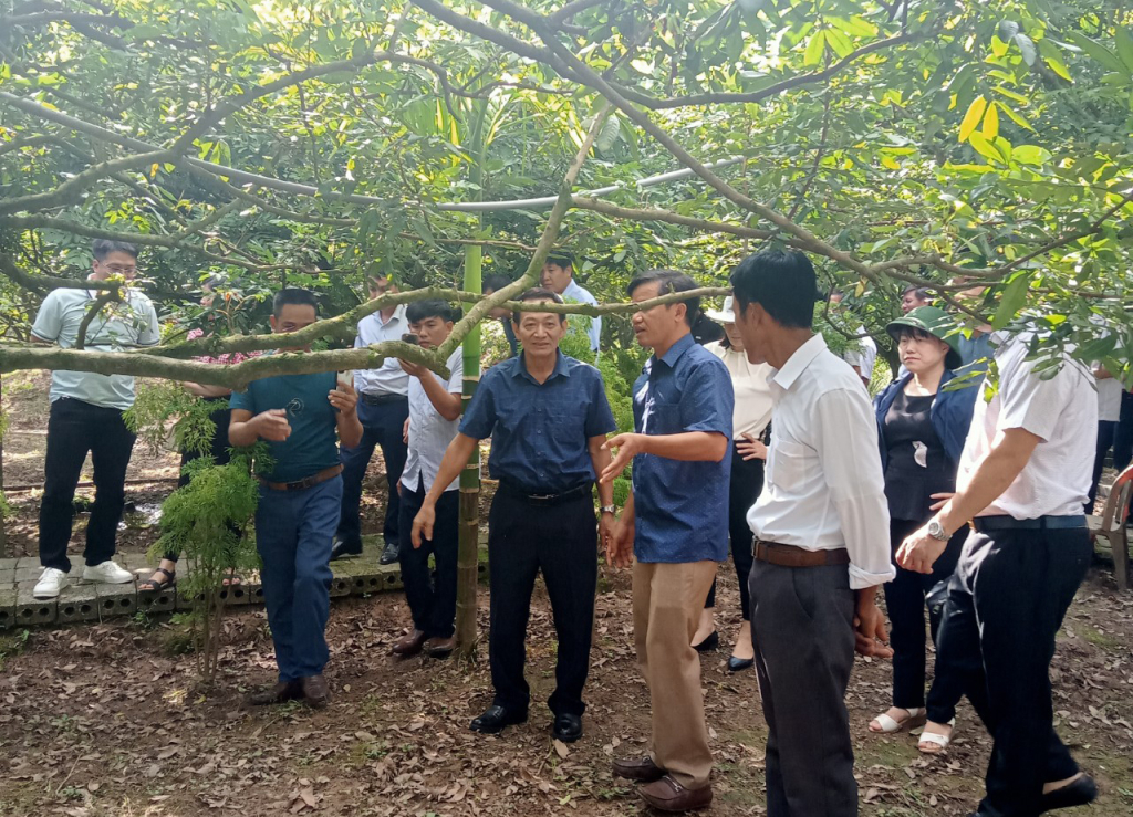 Hội thảo sử dụng phân bón hữu cơ trên cây trồng