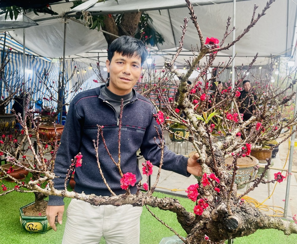 Nông dân Hưng Yên làm giàu từ trồng cây đào “tiến vua”