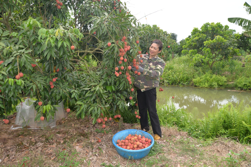 Xúc tiến thương mại, mở rộng thị trường tiêu thụ vải