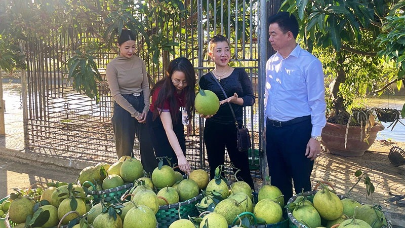 Tạo đòn bẩy xây dựng nông thôn mới