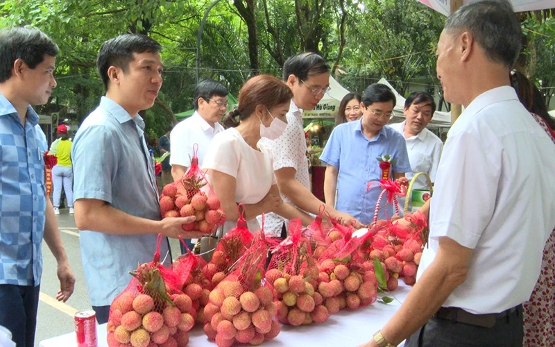 Xây dựng nông thôn mới kiểu mẫu ở Phù Cừ