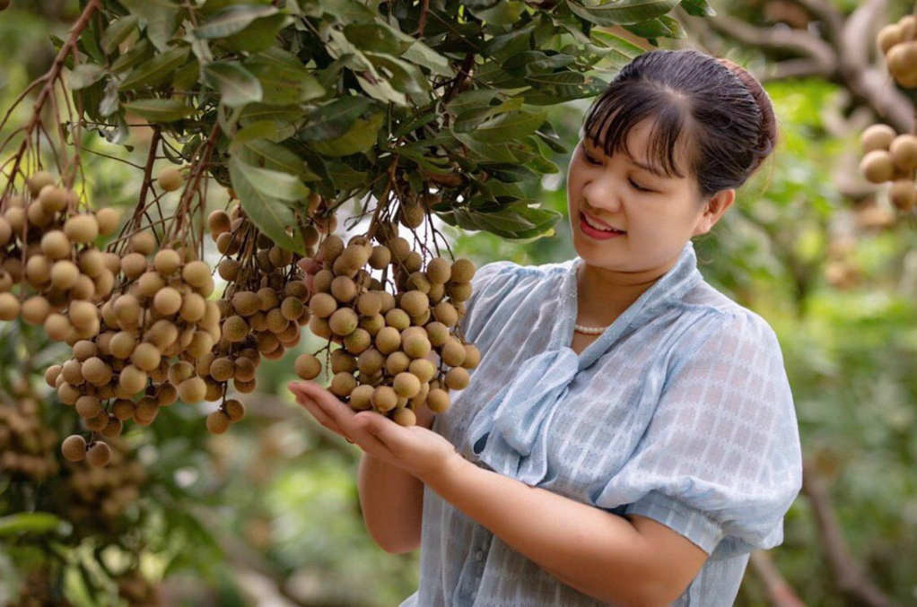 Ngọt thơm nhãn đầu mùa