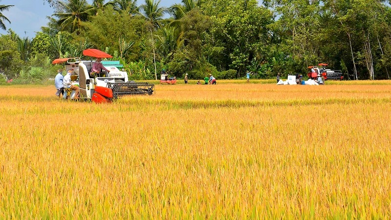 Tạo đà hình thành nền nông nghiệp sinh thái, minh bạch, trách nhiệm