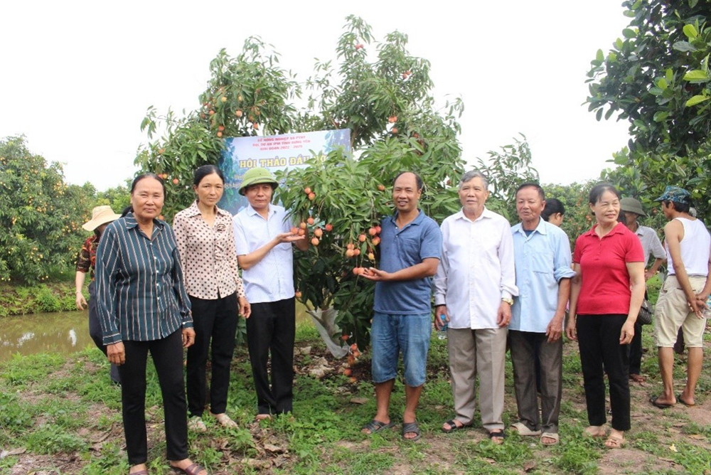 Đánh giá mô hình ứng dụng quản lý dịch hại tổng hợp trên cây vải