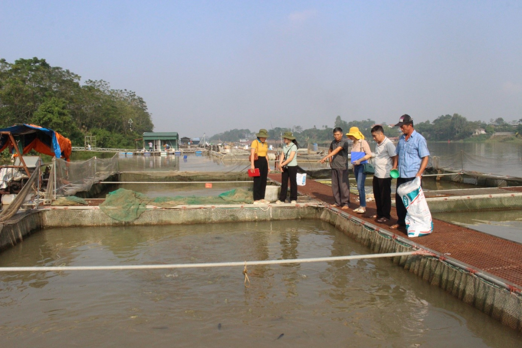 Phát triển sản xuất nông nghiệp toàn diện