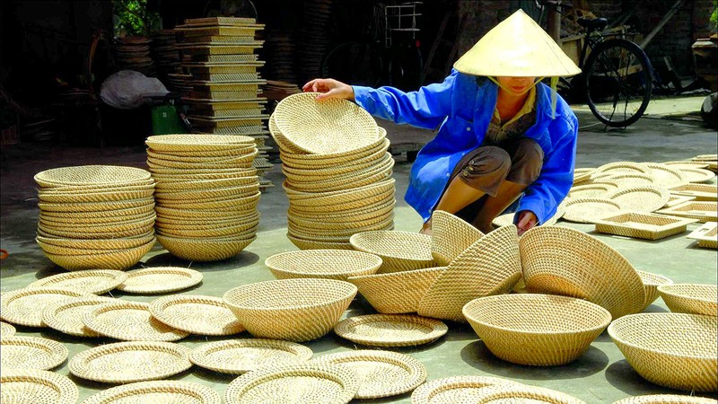 Tạo vùng nguyên liệu lâm sản ngoài gỗ quy mô lớn