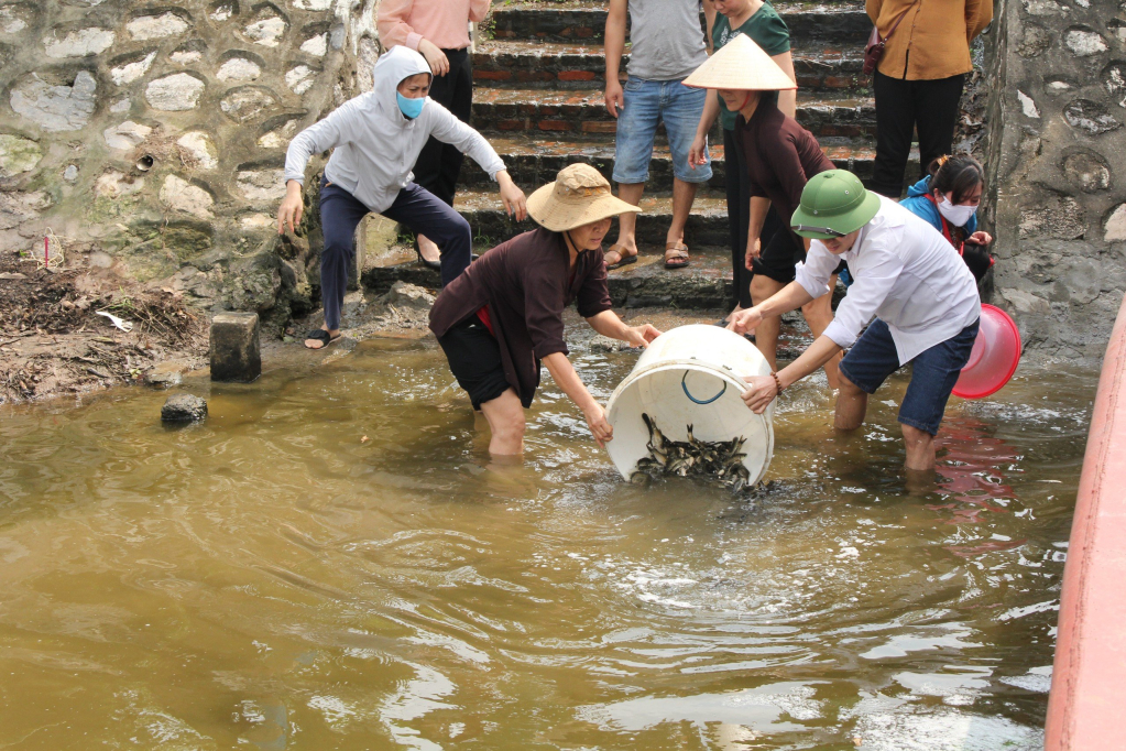 Tái tạo và phát triển nguồn lợi thủy sản