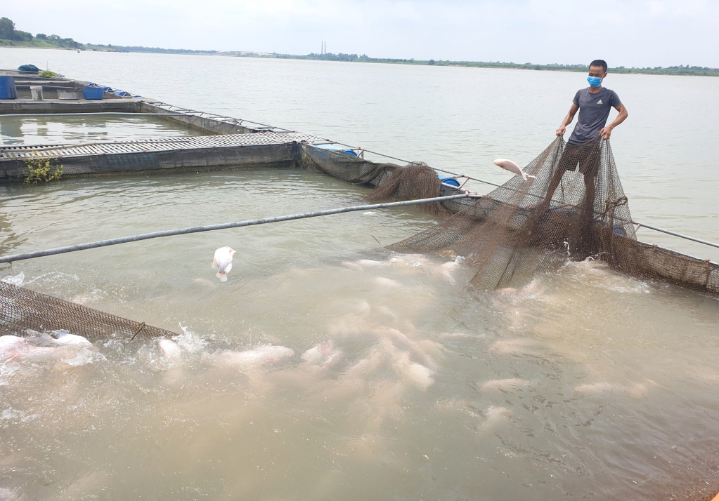 Động lực phát triển kinh tế vùng đất bãi