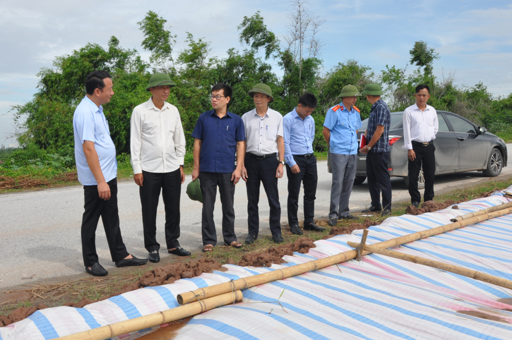 Phó Chủ tịch UBND tỉnh Nguyễn Hùng Nam kiểm tra sự cố sạt trượt mái đê phía đồng đê tả sông Hồng