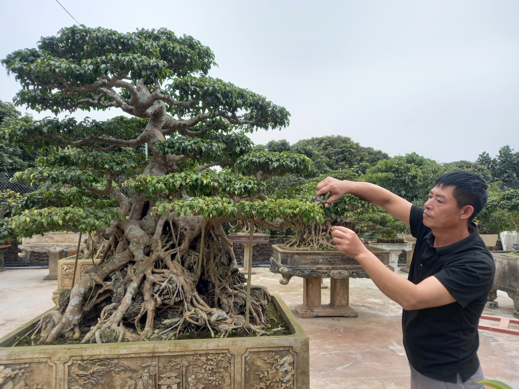 Làm giàu từ sinh vật cảnh