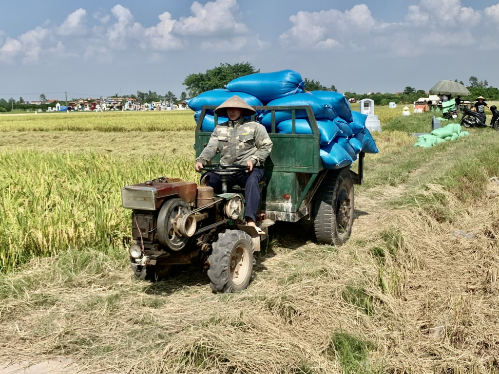 “Hạt vàng” gieo những niềm vui