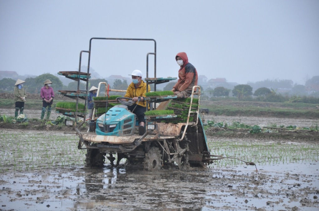 Quy hoạch phát triển nông nghiệp theo hướng sinh thái, hiện đại, bền vững