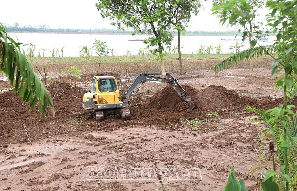 Kim Động: Hỗ trợ Nhân dân khôi phục sản xuất sau bão số 3