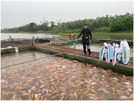 Chủ động chống rét cho thủy sản nuôi