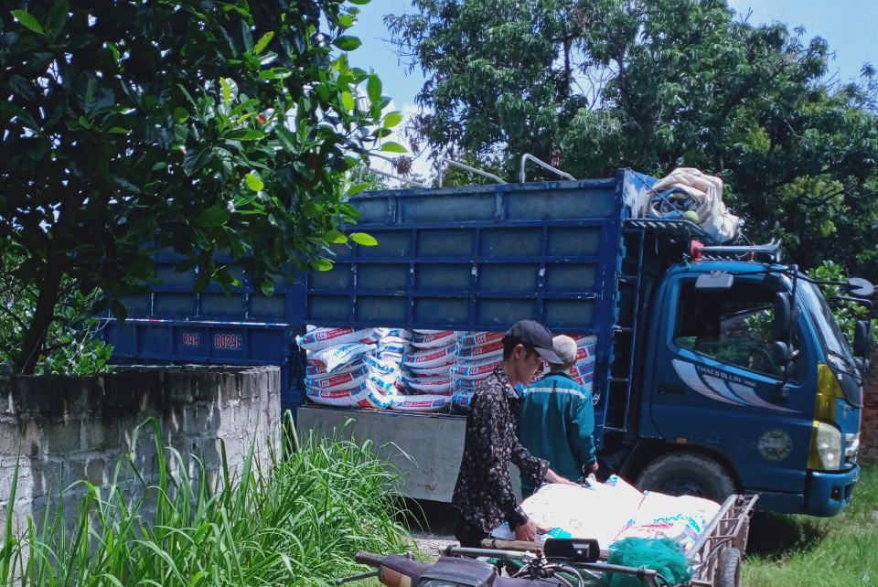 Chăn nuôi vịt thương phẩm an toàn sinh học