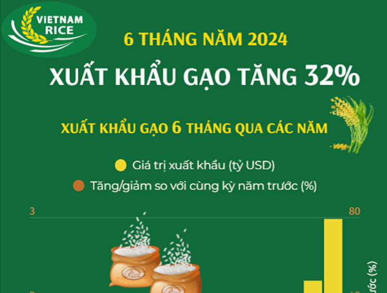 Xuất khẩu gạo của cả nước trong 6 tháng năm 2024 tăng 32%