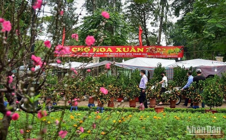 Hội Xuân Giáp Thìn 2024 sẽ diễn ra vào ngày 26/1