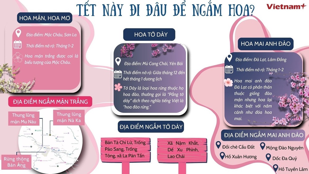 Gợi ý những điểm đến ngắm hoa dịp Tết Ất Tỵ