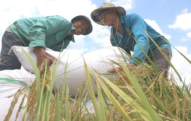 Việt Nam nêu bật 6 giải pháp xuyên suốt để thực hiện thành công SDGs