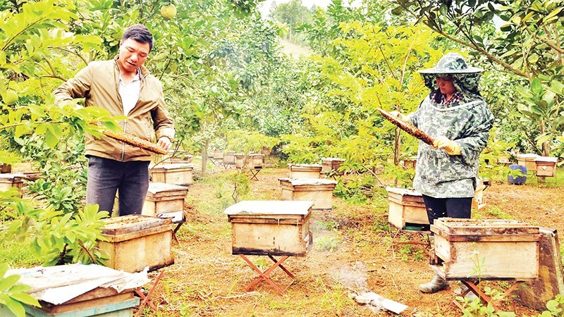 Dự kiến tỷ lệ hộ nghèo năm 2023 giảm 1,1%