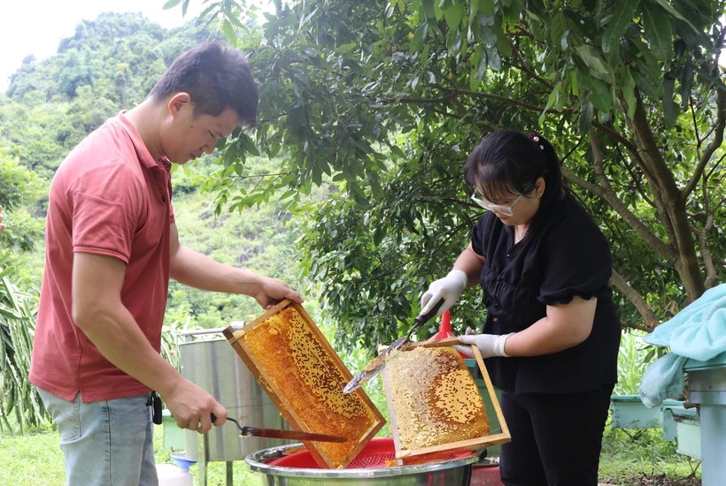 Mật ong xuất khẩu sang EU bắt buộc phải ghi nhãn xuất xứ