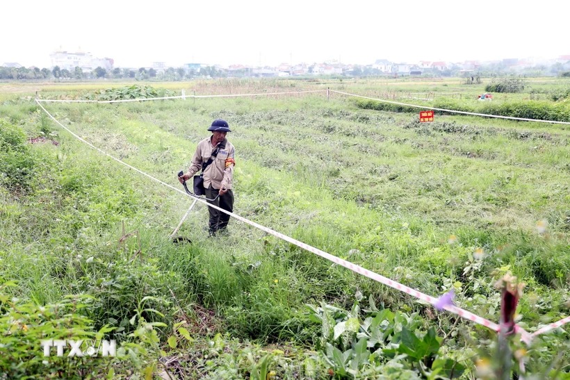 Hỗ trợ đào tạo nghề, giải quyết việc làm cho người bị thu hồi đất