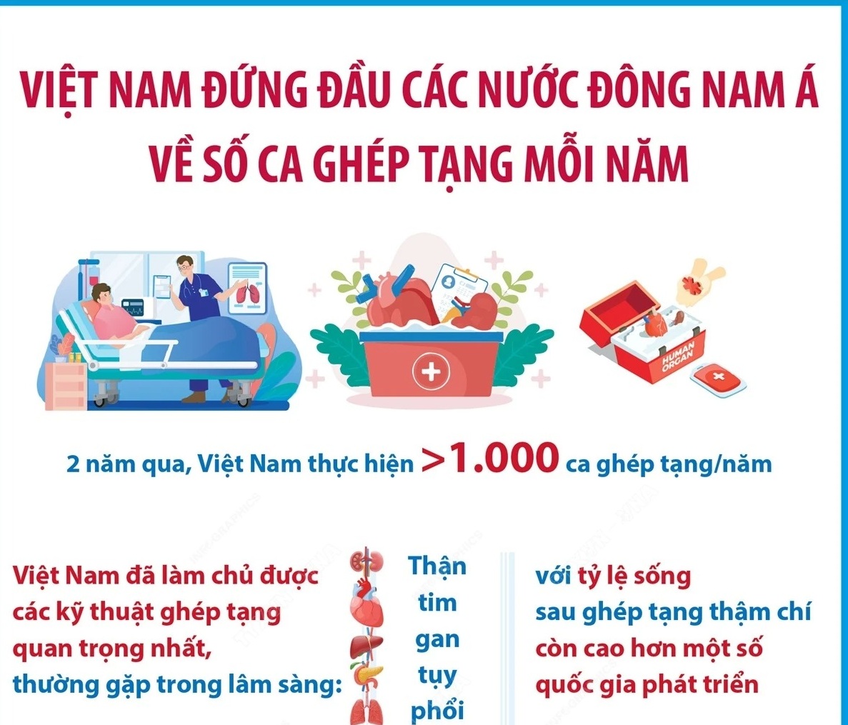 Việt Nam đứng đầu các nước Đông Nam Á về số ca ghép tạng mỗi năm