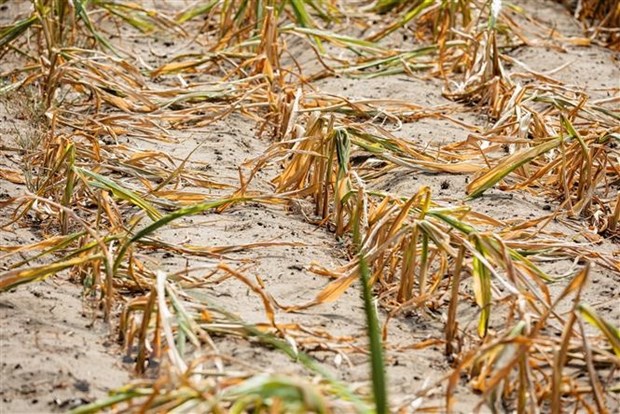 Biến đổi khí hậu là mối quan ngại hàng đầu của thế giới