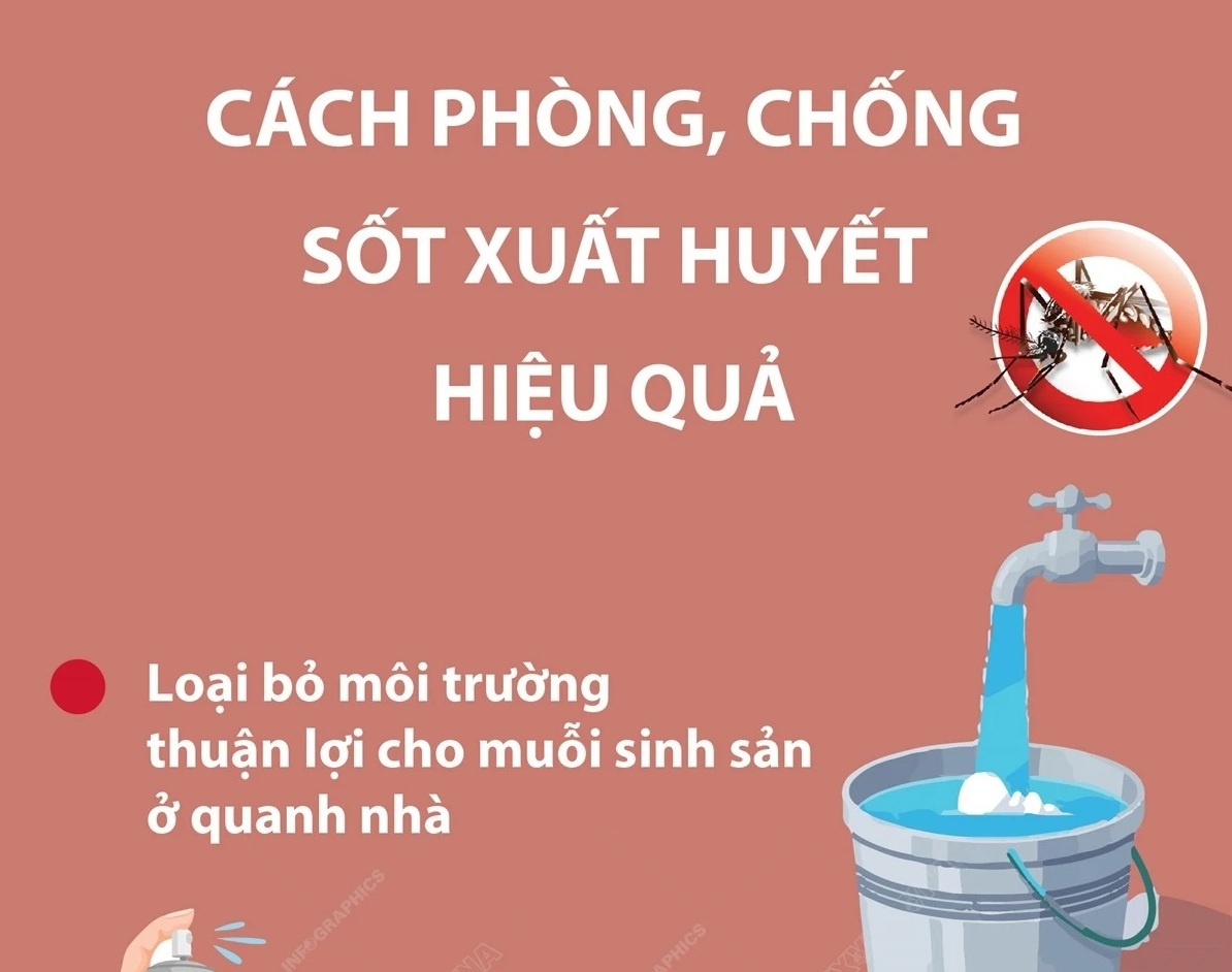 Những biện pháp phòng, chống sốt xuất huyết hiệu quả