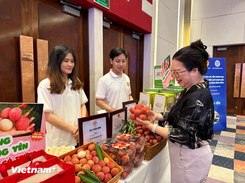 Khơi thông thị trường, thúc đẩy tiêu thụ và xuất khẩu rau quả chính vụ